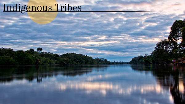 Indigenous Tribes
