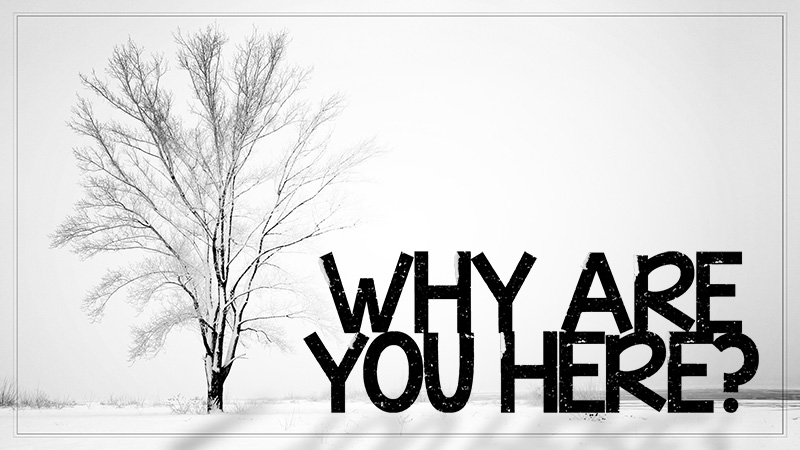 Why Are You&nbsp;Here?